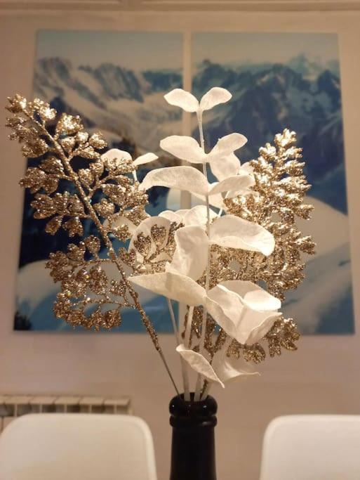 Bel Appartement Familial Et Cosy Saint-Gervais-les-Bains Exteriér fotografie